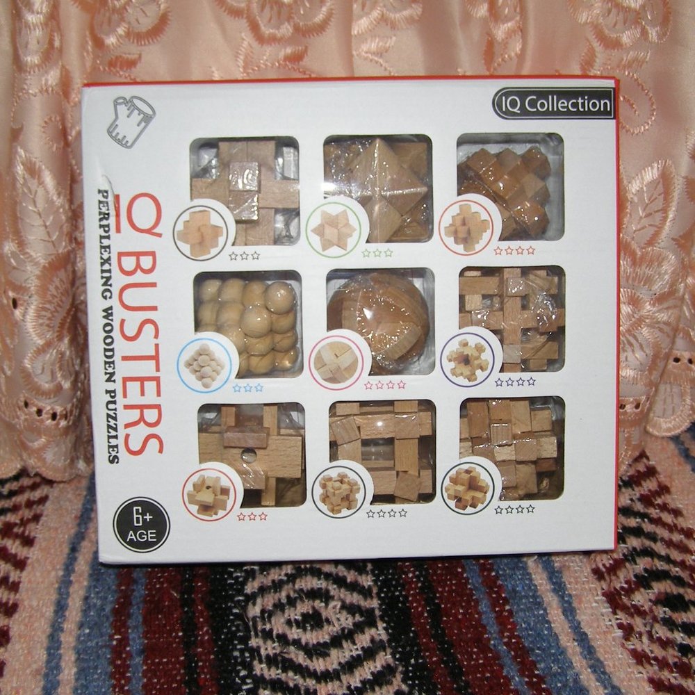 NEW IQ Busters wooden puzzles